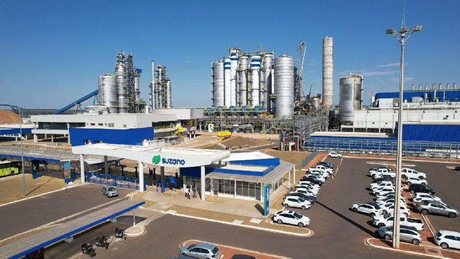 Suzano registra recorde de vendas em 2024 com nova fábrica no MS e aquisição nos Estados Unidos