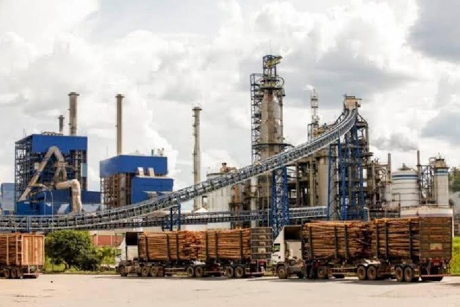 Suzano investe em cuidados com a saúde e o bem-estar de colaboradores(as) e seus familiares durante a pandemia 