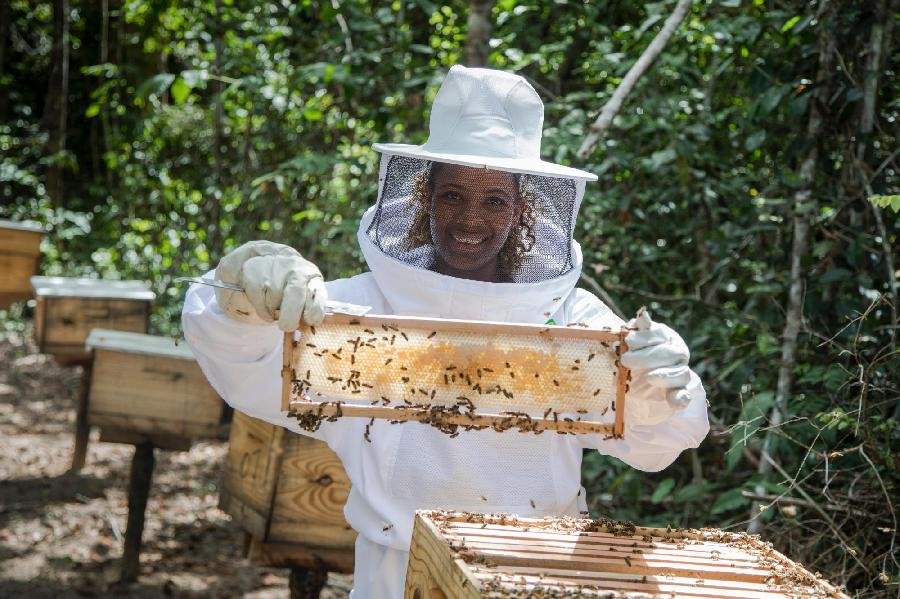 Associação apoiada pela Suzano registra recorde de produção de mel na Bahia