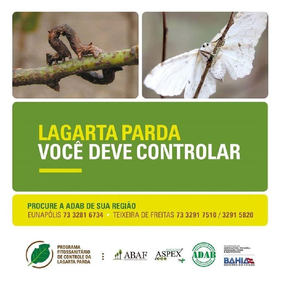  Programa Fitossanitário de Controle da Lagarta Parda realiza última reunião de 2016