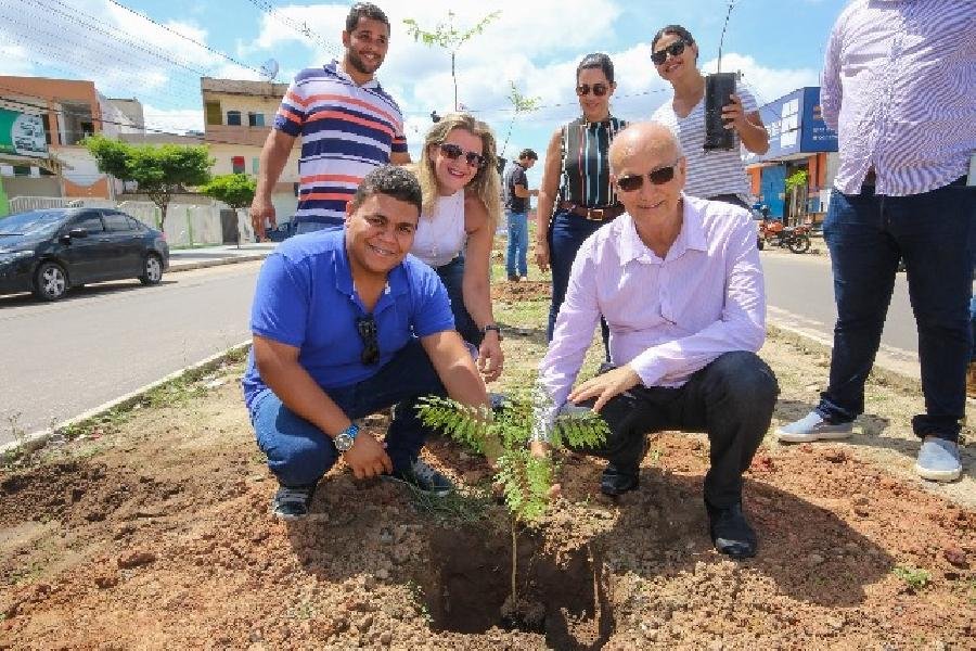  Mais de 80 mudas são plantadas na Avenida São Paulo pela Secretaria Municipal de Meio Ambiente