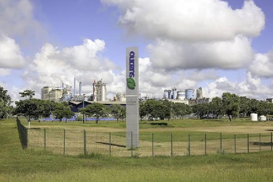 Suzano divulga resultados das ações dos projetos contemplados pelo Edital Emergencial