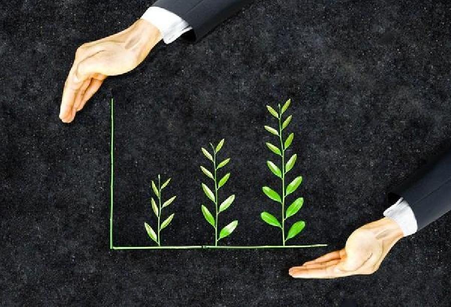 Suzano integra Índice Dow Jones de Sustentabilidade 