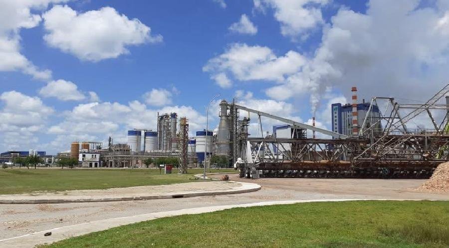 Mês do Meio Ambiente: Suzano garante descarte correto de baterias nas operações florestais