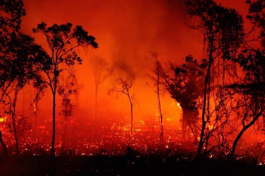 Emergência ambiental: Bahia é o 2º estado do Nordeste com mais incêndios!