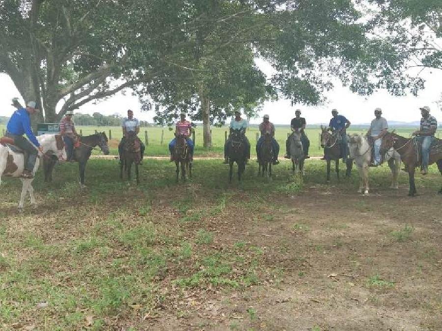  Secretaria Municipal de Agricultura apoia a realização do curso de Rédeas e Doma Racional para equinos