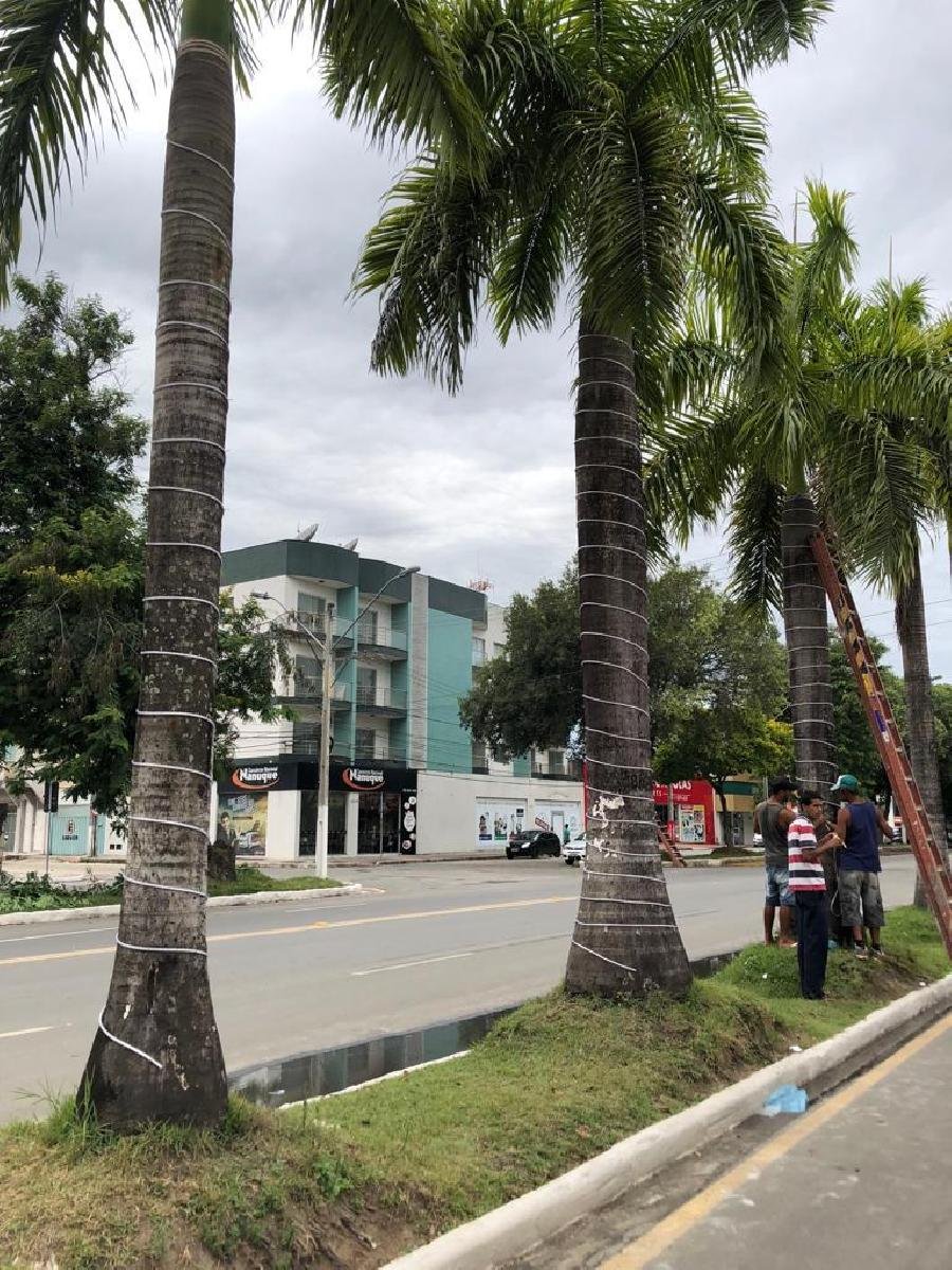  Prefeitura de Teixeira de Freitas inicia ornamentação da cidade para o Natal Iluminado