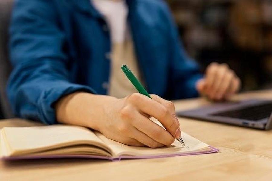 Suzano está com inscrições abertas para os programas de Trainee e Estágio 2024