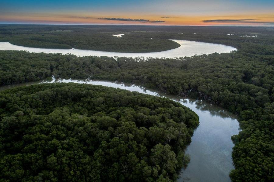 Dia da Água: projeto idealizado pela Suzano recupera nascentes do rio Mucuri