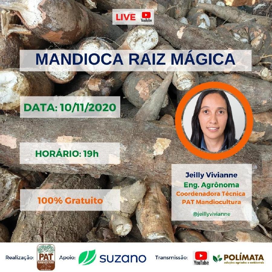 Mandiocultura: lives levam conhecimento a agricultores do Extremo Sul da Bahia