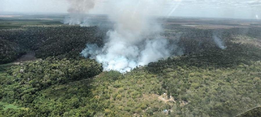 Incêndios florestais colocam Bahia em alerta