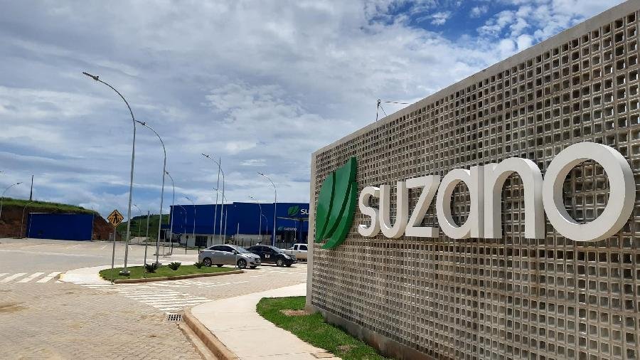 Suzano abre inscrições para o Programa de Trainee 2025