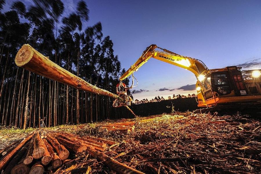 Suzano lança programa de Mudanças Climáticas na Cadeia de Valor focado nos fornecedores  