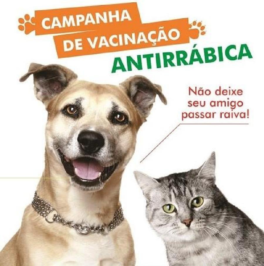 Qual a Importância  de vacinar seu pet?