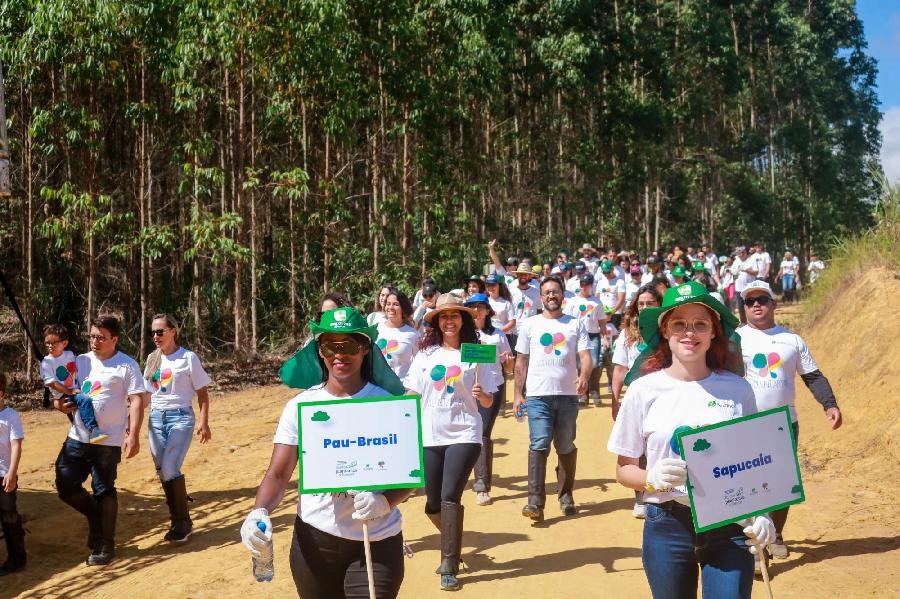 Ação cria corredores ecológicos e conecta fragmentos florestais chega à Bahia