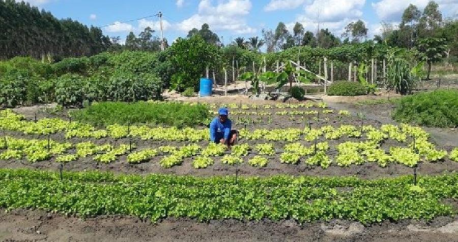 Programa da Suzano que incentiva agricultura sustentável é destaque em publicação internacional 