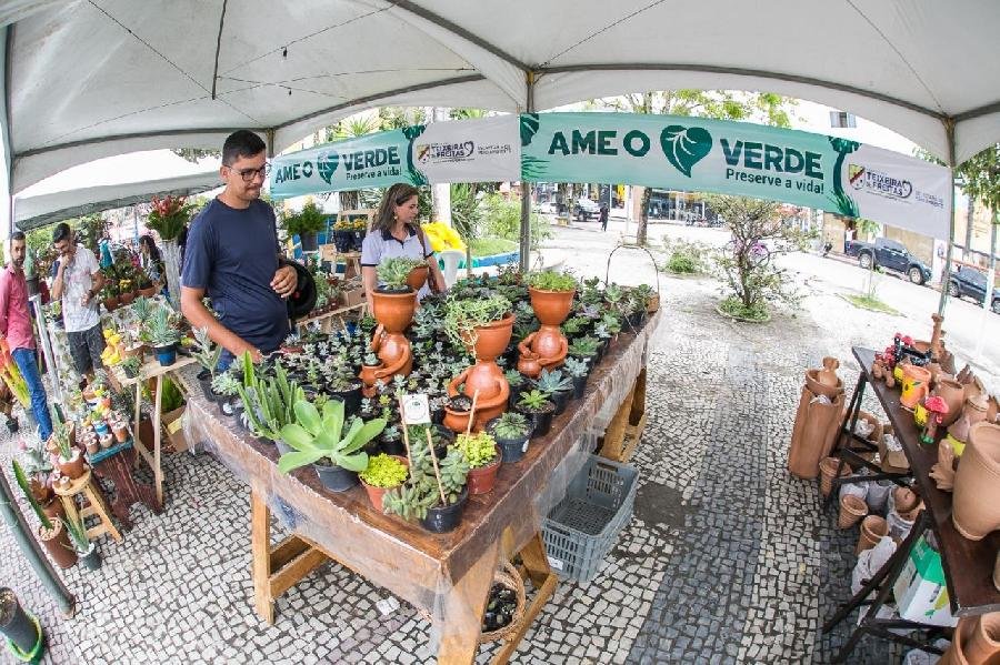 “Ame o Verde” desperta conscientização e preservação ambiental até o próximo sábado (7) 3 DE DEZEMBRO DE 2019