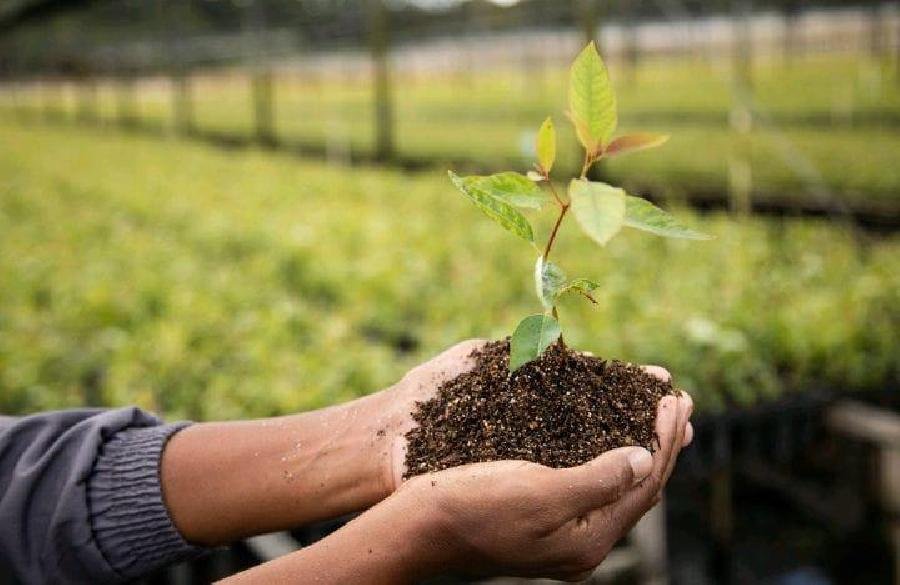 Suzano abre inscrições para nova turma de Mecânicos(as) de máquinas florestais