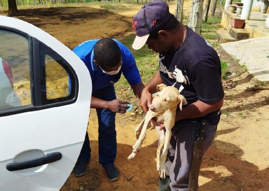 Secretaria de Saúde realiza Campanha de vacinação antirrábica; Confira o cronograma