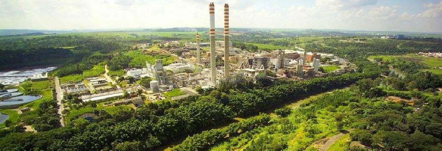 Suzano é eleita Empresa do Ano do setor de Papel e Celulose no anuário Melhores da Dinheiro