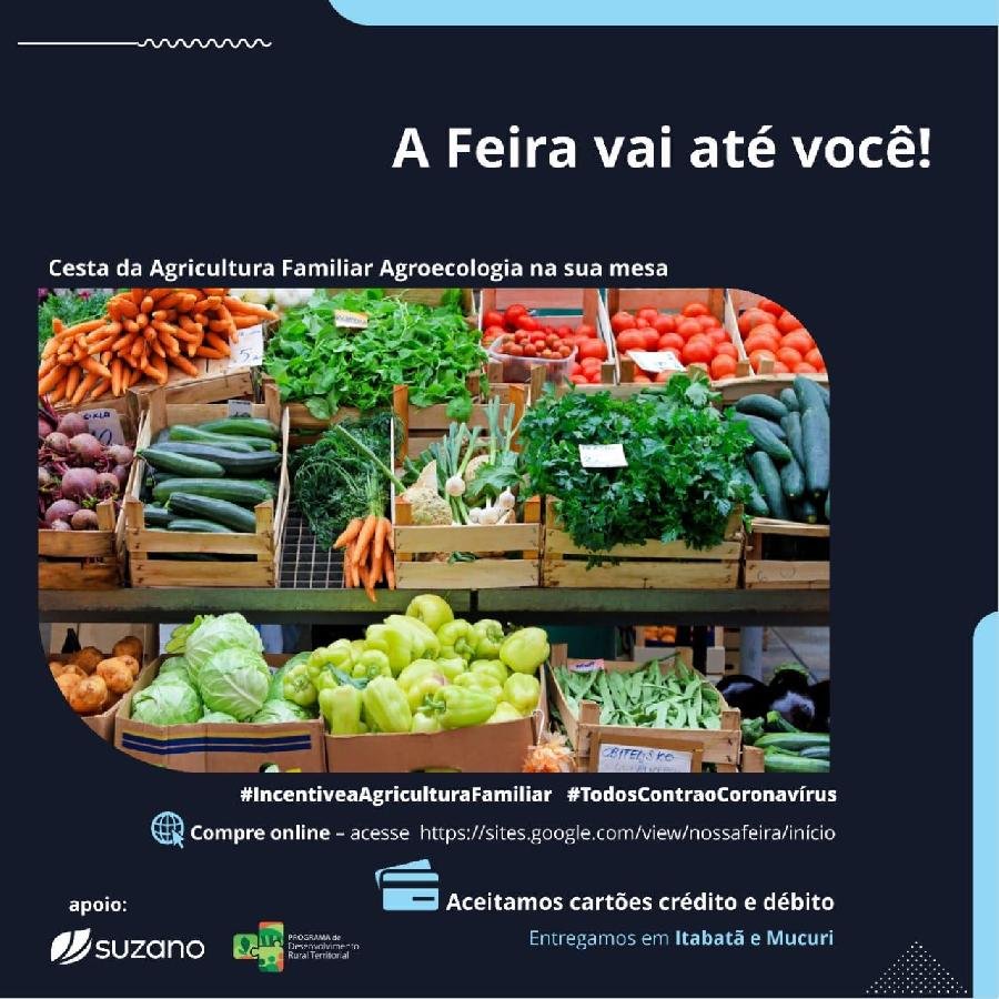 Suzano lança ação para fortalecer vendas da agricultura familiar no sul da Bahia em meio à pandemia do coronavírus 