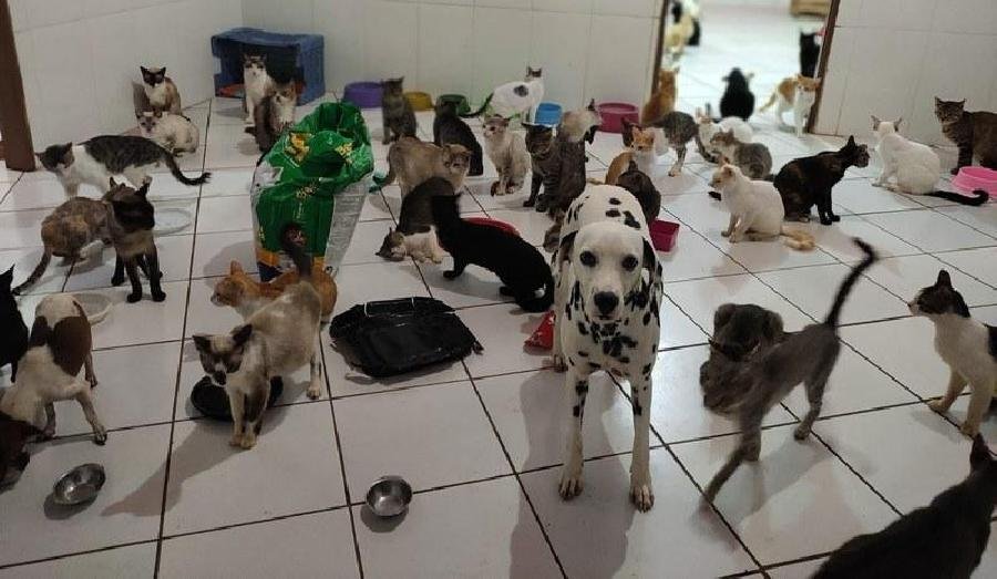 UPAC busca novo local e alerta para risco à saúde pública