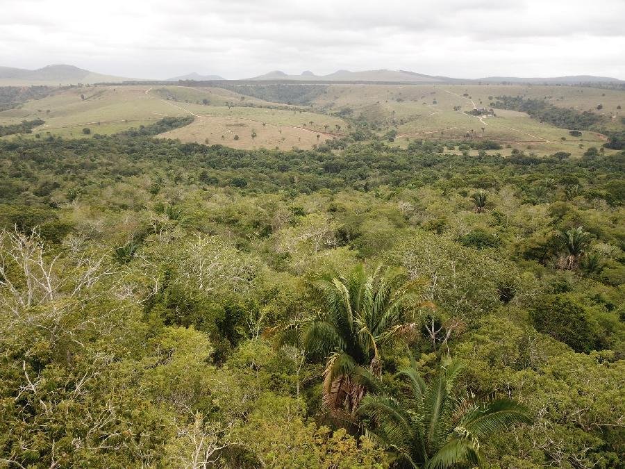 Suzano identifica novas Áreas de Alto Valor de Conservação (AAVCs) no Espírito Santo e amplia outras na Bahia