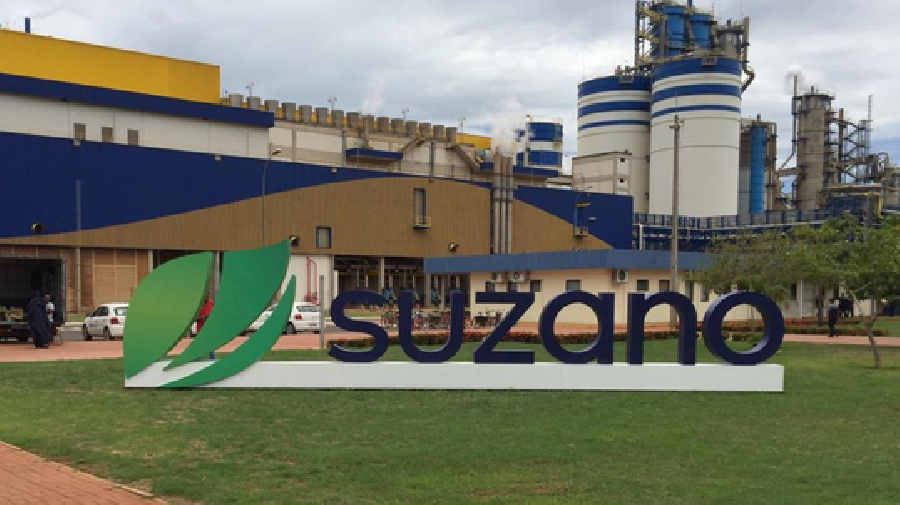 Suzano investirá R$ 14,6 bilhões em 2024, ano de seu centenário