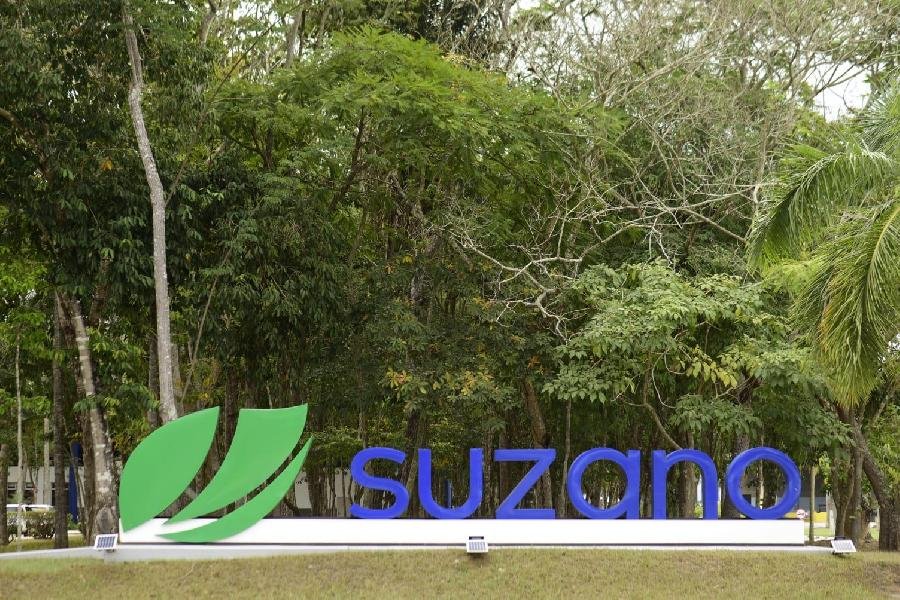 Suzano lança venture capital com US$ 70 milhões em recursos para impulsionar startups