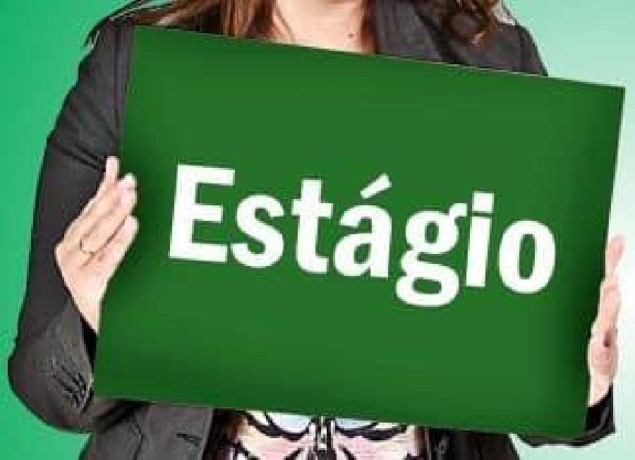 Suzano oferece mais de 50 vagas para Programa de Estágio