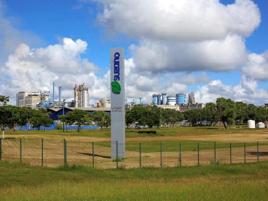 Suzano mantém vendas estáveis no 3º trimestre