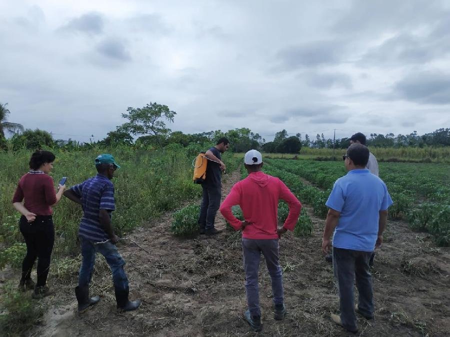  Alunos da Escola Municipal Antônio de Jesus Gomes participam de palestra sobre Saúde Bucal