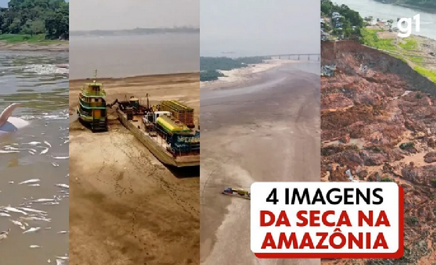 Sem chuva, oito estados do Norte e do Nordeste batem recorde de seca dos últimos 40 anos, diz Cemaden