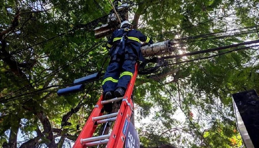 Apagão nacional deixa ao menos 15 estados e DF sem energia