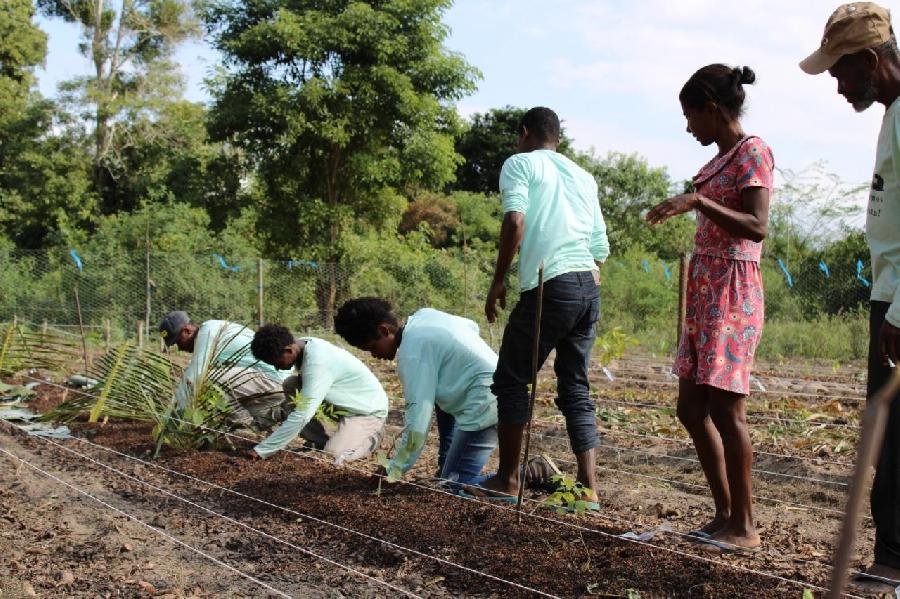  Dia do Agricultor: Suzano promove o fortalecimento de comunidades rurais no Extremo Sul da Bahia  