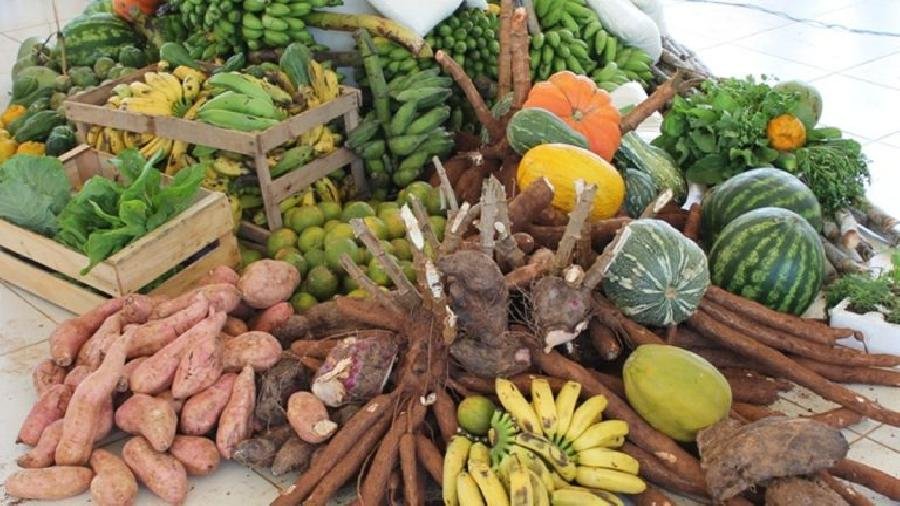  SECRETARIA MUNICIPAL DE AGRICULTURA INICIOU O PROGRAMA DE AQUISIÇÃO DE ALIMENTOS – PAA