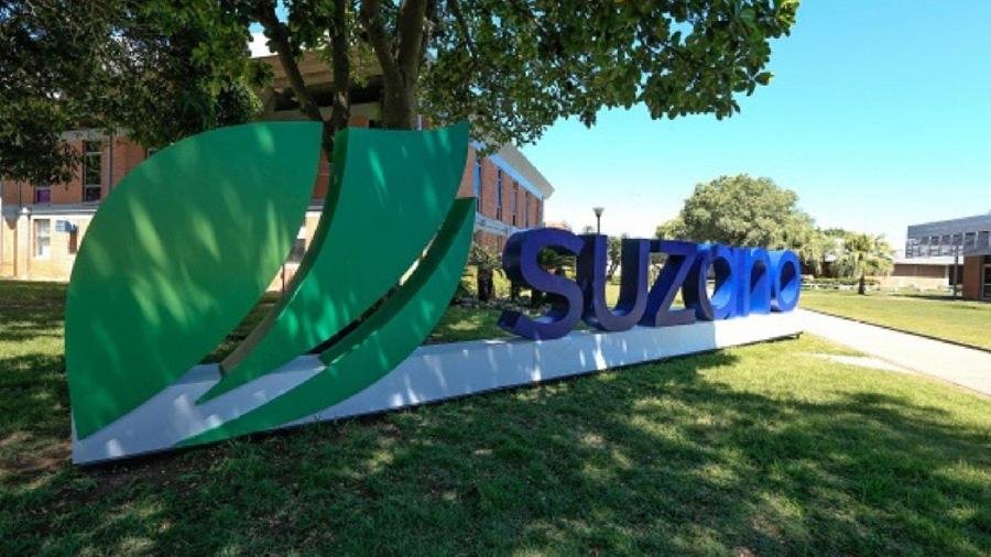Suzano Bens de Consumo lança ação para fomentar o ciclo de produção sustentável de seus produtos
