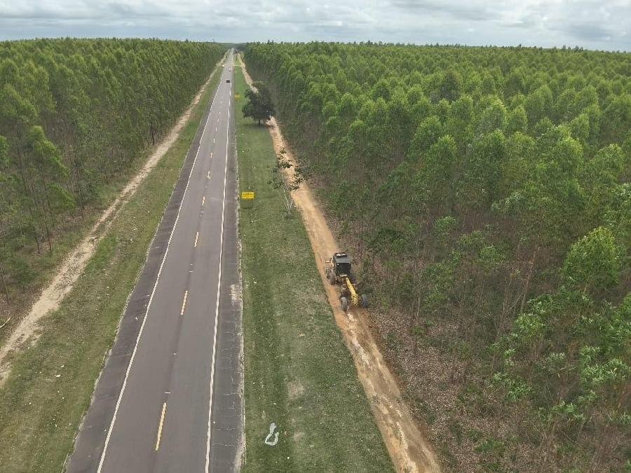 Aceiros ajudam a proteger florestas da propagação de incêndios na Bahia e no Espírito Santo