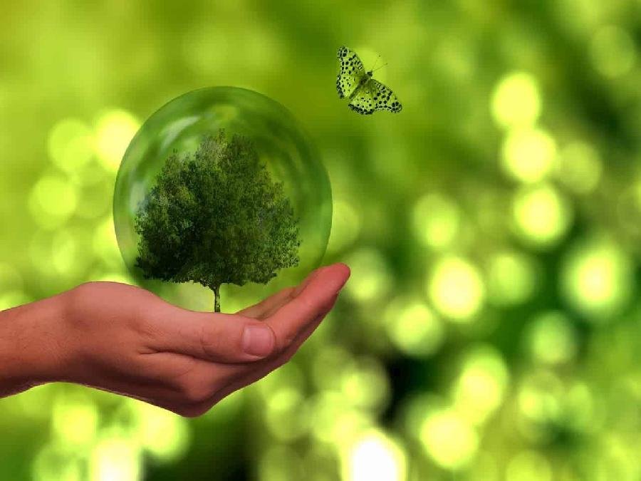 Suzano integra o Índice de Sustentabilidade Empresarial 2021