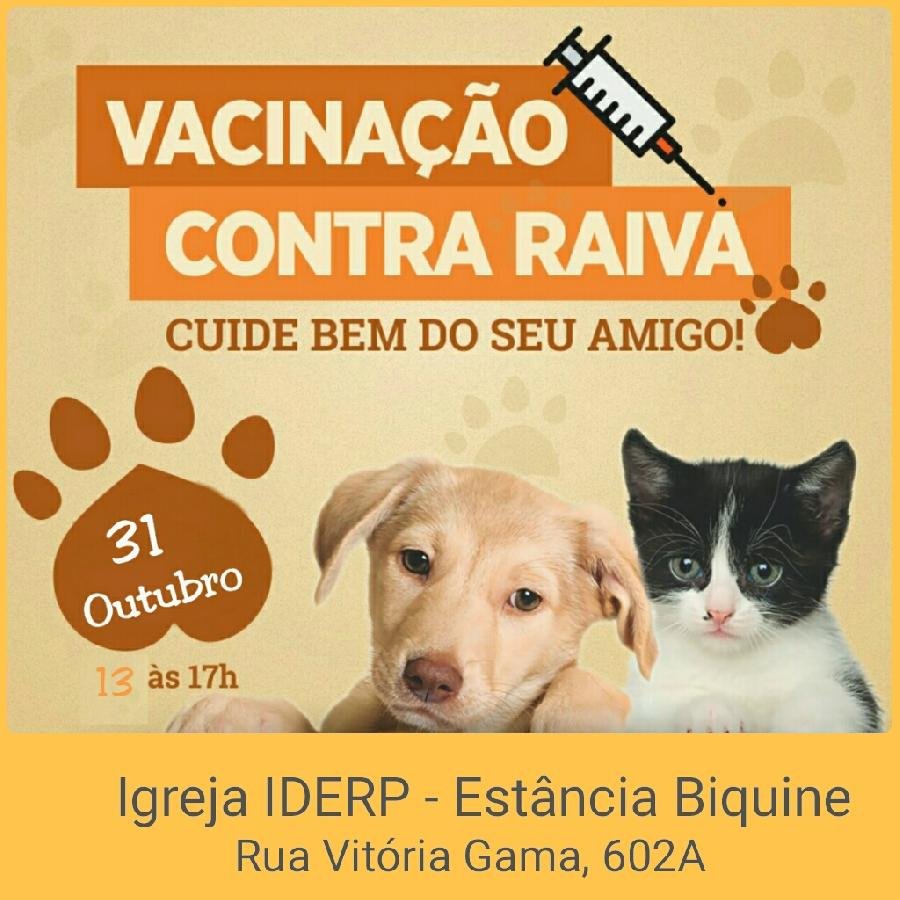  Vacinação antirrábica é realizada no bairro Estância Biquíni em Teixeira de Freitas
