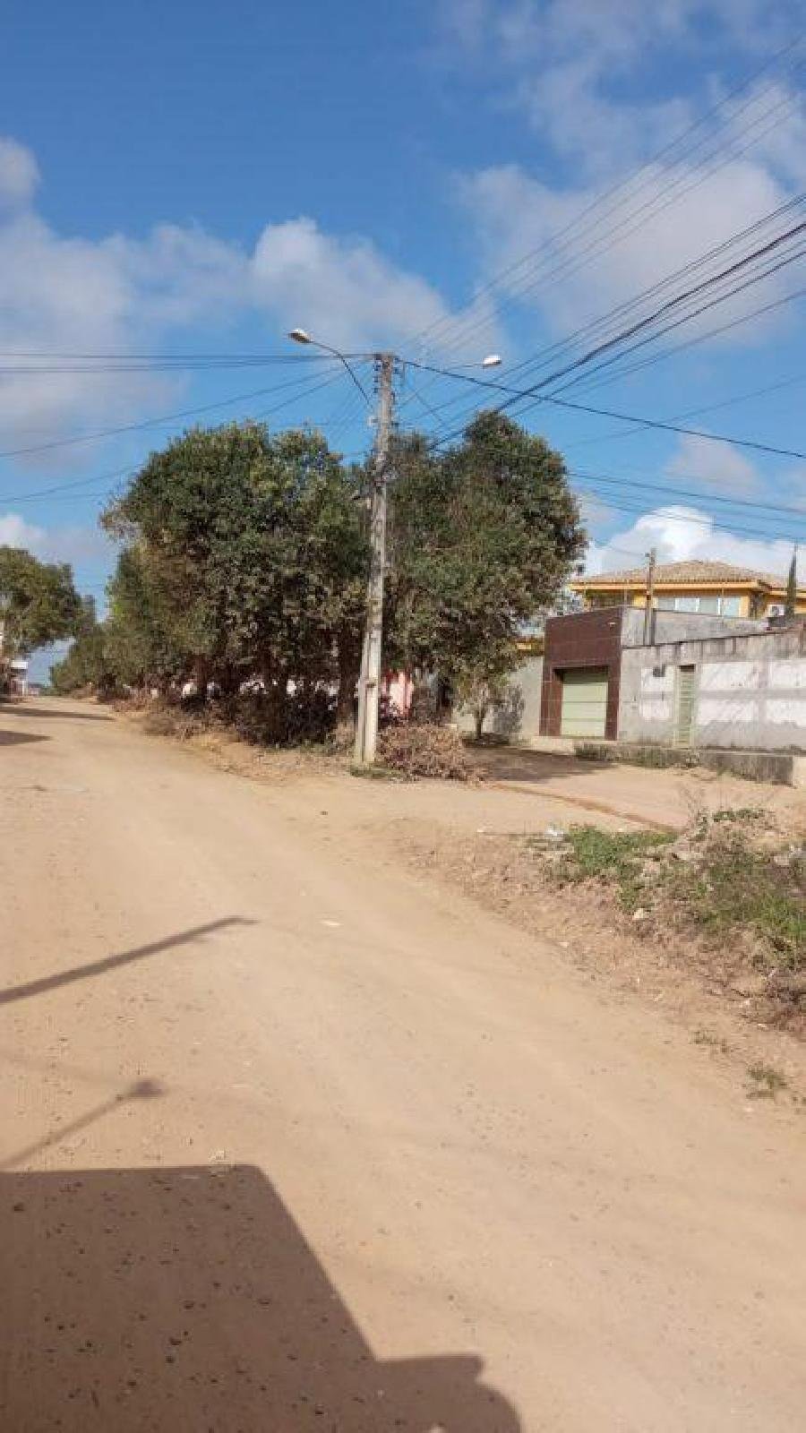 Nota de esclarecimento: Prefeitura não realiza nem autoriza poda de árvores em formato V