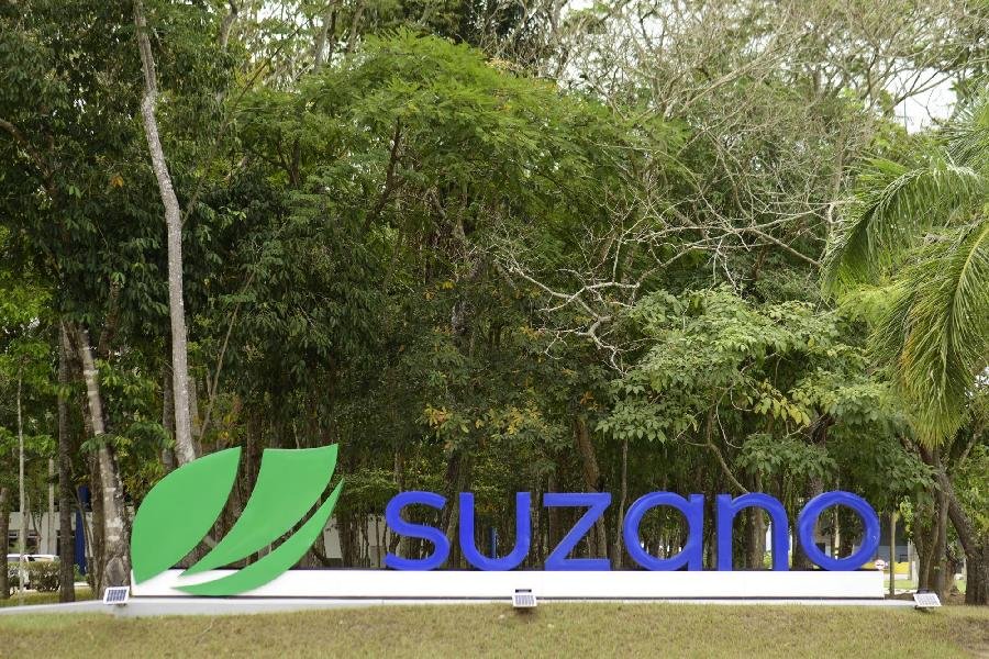 Suzano está com inscrições abertas para o Programa de Estágio Superior 2023
