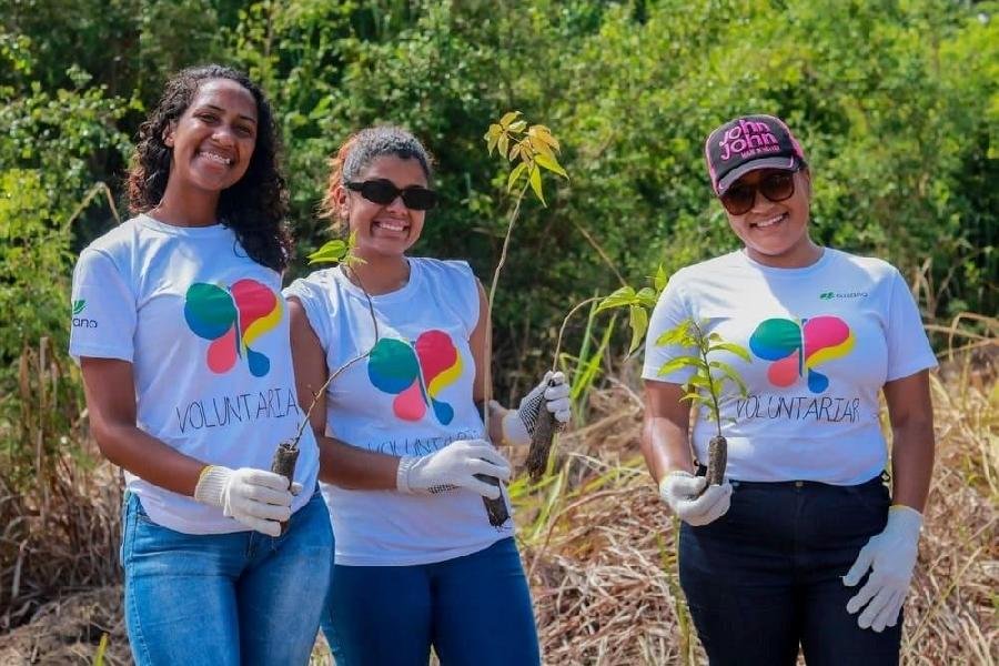 Dia Nacional do Voluntariado Conheça a história daqueles que fazem a diferença por meio de ações voluntárias