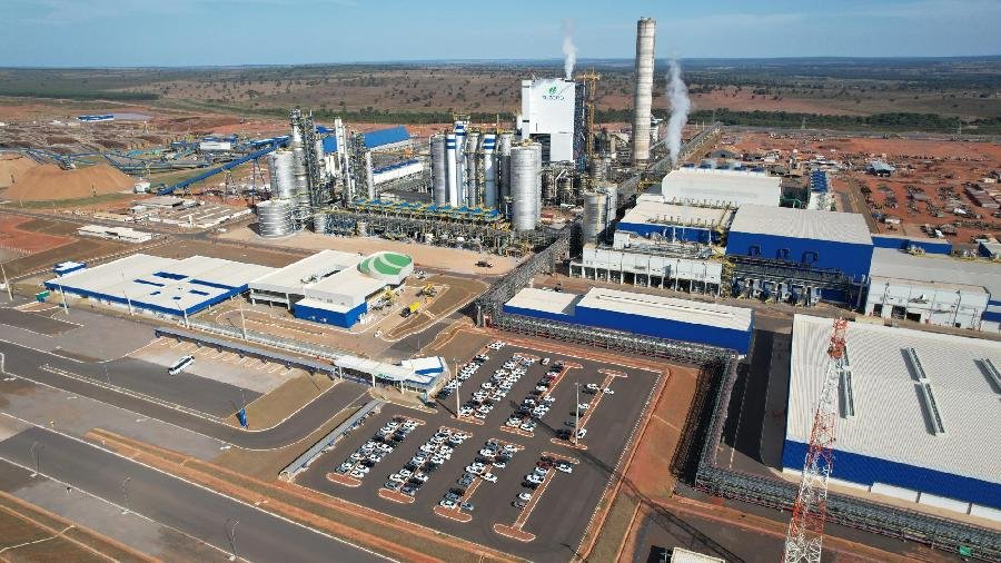  A Suzano, maior produtora mundial de celulose e referência global na fabricação de bioprodutos 