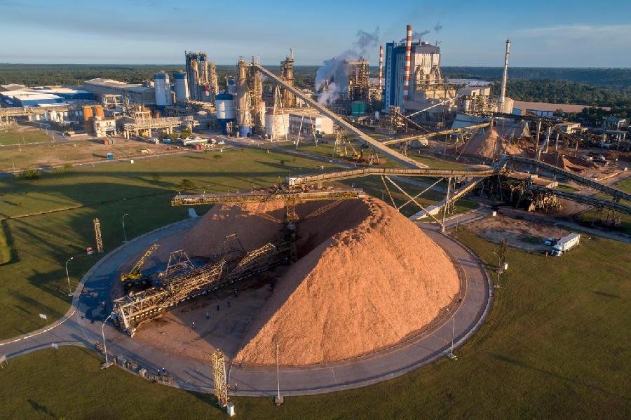Suzano vende 2,9 milhões de toneladas de celulose e papéis no primeiro trimestre de 2021