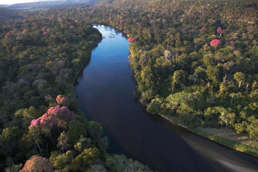 Suzano alcança 975 mil hectares de áreas destinadas à conservação