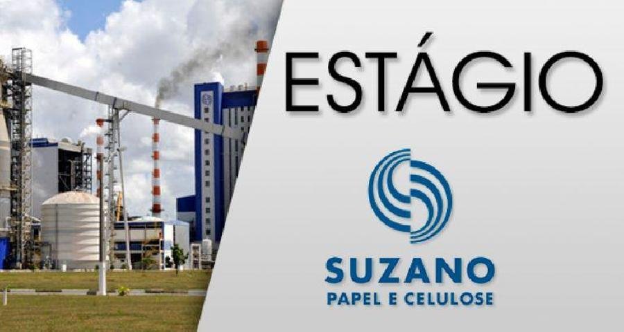 Programa de Estágio da Suzano, com inscrições abertas até 6 de outubro, já tem mais de 7.500 candidatos