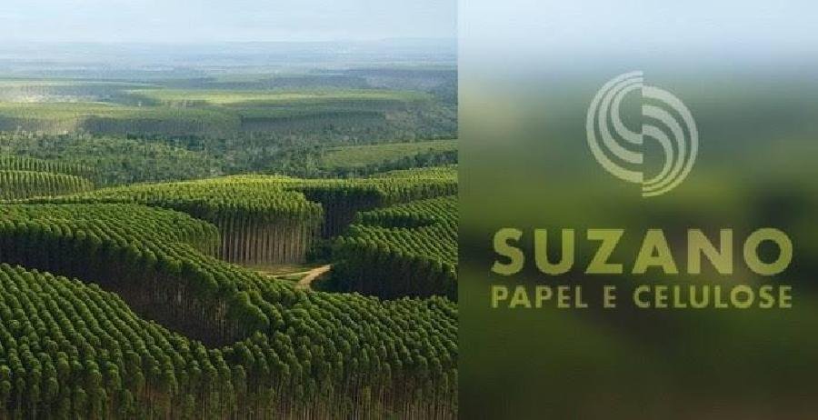 Suzano integra movimento favorável ao fortalecimento de agenda sustentável no Brasil