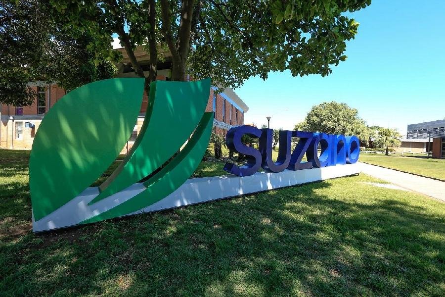 Suzano abre inscrições para Programa de Estágio Superior