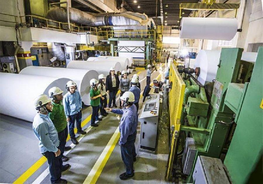 Suzano vende 3 milhões de toneladas de celulose e papéis no terceiro trimestre de 2021